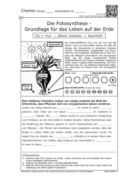 Die Fotosynthese - Grundlage für das Leben auf der Erde