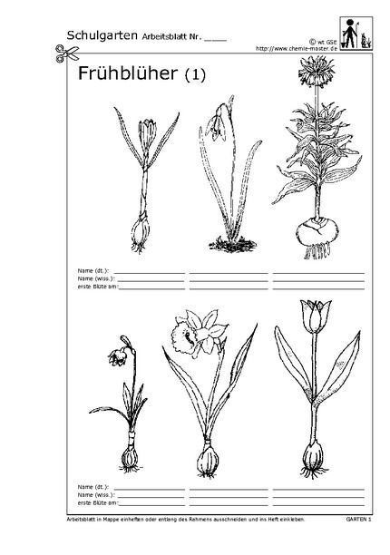 Hier klicken, um das Arbeitsblatt als PDF-Dokument anzeigen zu lassen!