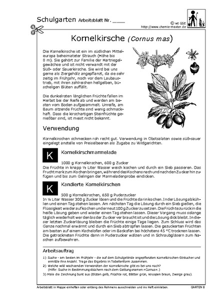 Hier klicken, um das Arbeitsblatt als PDF-Dokument anzeigen zu lassen!