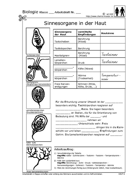 Hier klicken, um das Arbeitsblatt als PDF-Dokument anzeigen zu lassen!