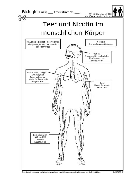 Hier klicken, um das Arbeitsblatt als PDF-Dokument anzeigen zu lassen!