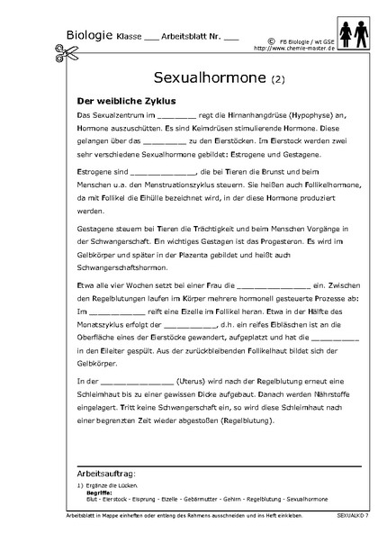 Hier klicken, um das Arbeitsblatt als PDF-Dokument anzeigen zu lassen!